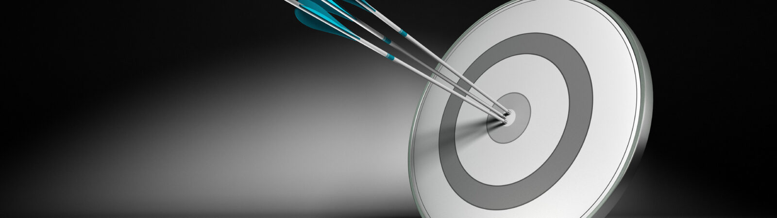 Paid Search Marketing