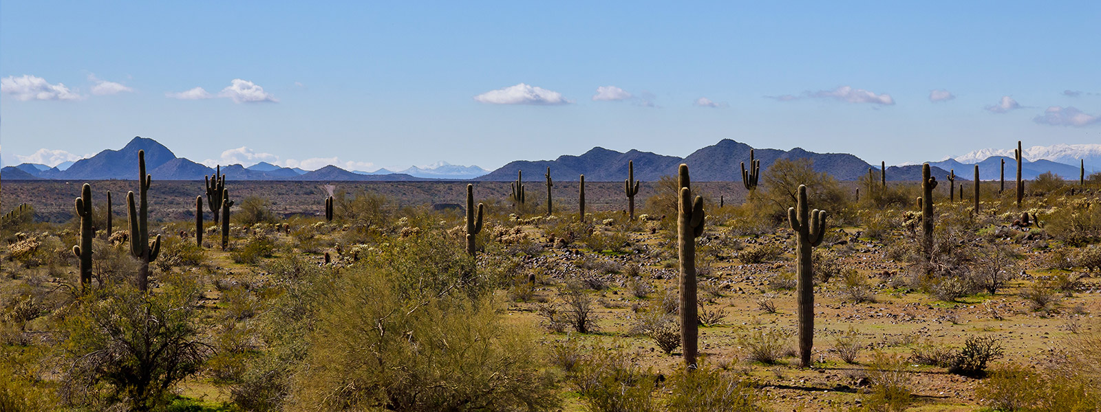 Arizona